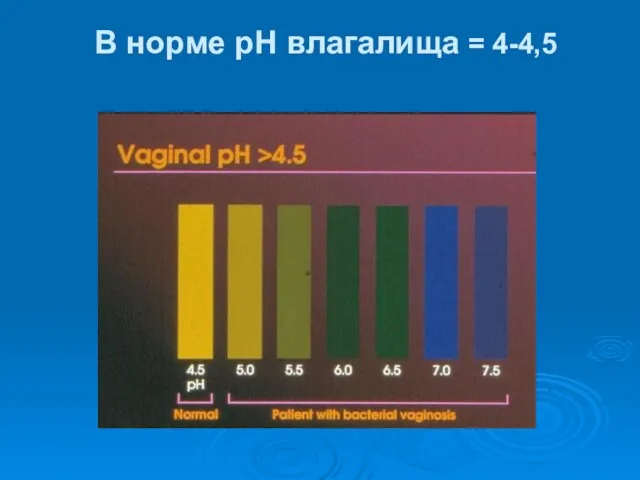 В норме pH влагалища = 4-4,5