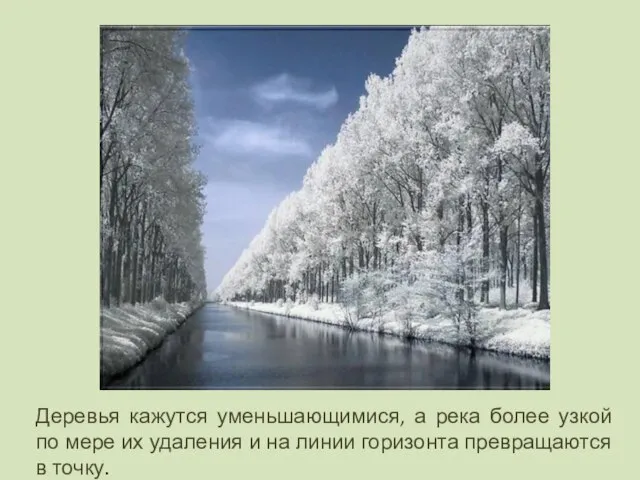 Деревья кажутся уменьшающимися, а река более узкой по мере их удаления