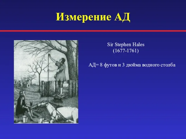 Измерение АД Sir Stephen Hales (1677-1761) АД= 8 футов и 3 дюйма водного столба