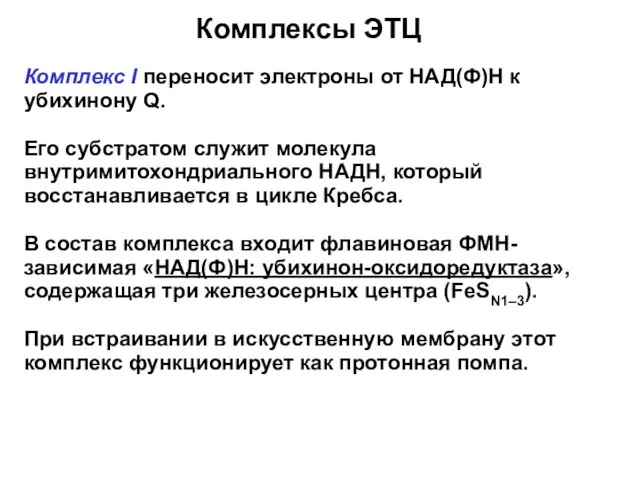 Комплексы ЭТЦ Комплекс I переносит электроны от НАД(Ф)Н к убихинону Q.