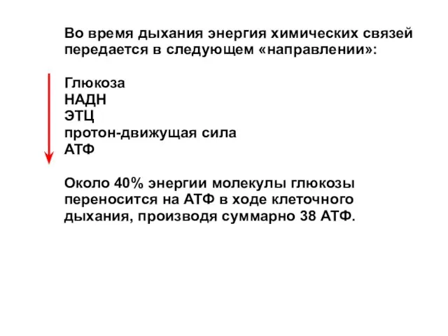 Во время дыхания энергия химических связей передается в следующем «направлении»: Глюкоза