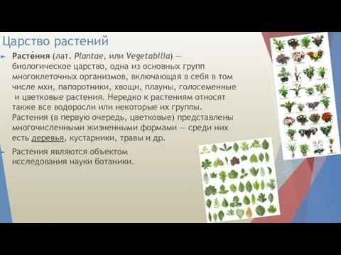 Царство растений Расте́ния (лат. Plantae, или Vegetabilia) — биологическое царство, одна