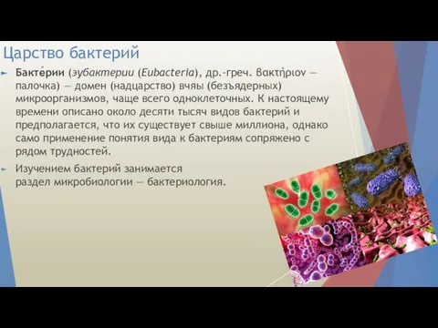 Царство бактерий Бакте́рии (эубактерии (Eubacteria), др.-греч. βακτήριον — палочка) — домен