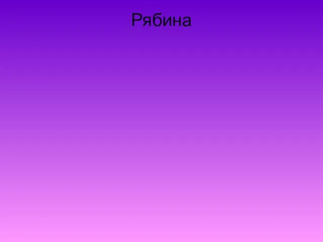 Рябина