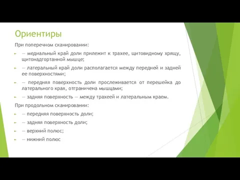 Ориентиры При поперечном сканировании: — медиальный край доли прилежит к трахее,