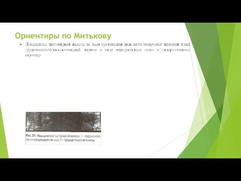 Ориентиры по Митькову