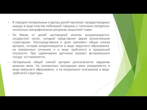 К передне-латеральным отделам до­лей прилежат предщитовидные мышцы в виде пластов небольшой