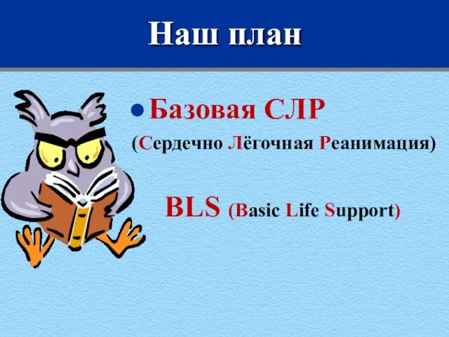 Наш план Базовая СЛР (Сердечно Лёгочная Реанимация) BLS (Basic Life Support)