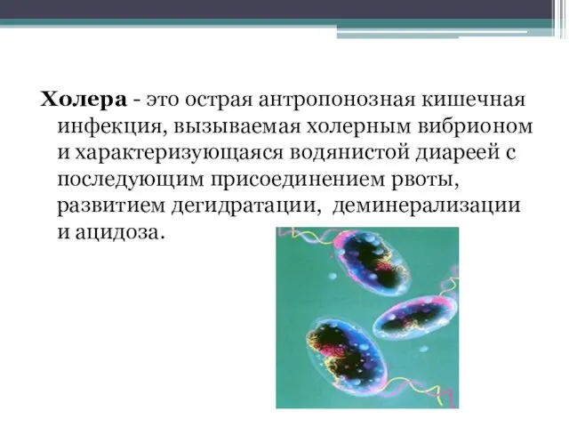 Холера - это острая антропонозная кишечная инфекция, вызываемая холерным вибрионом и