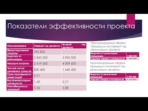 Показатели эффективности проекта Прогнозируемый оборот продукции на первый год реализации проекта