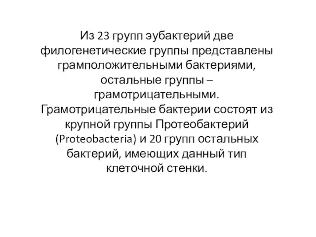 Из 23 групп эубактерий две филогенетические группы представлены грамположительными бактериями, остальные