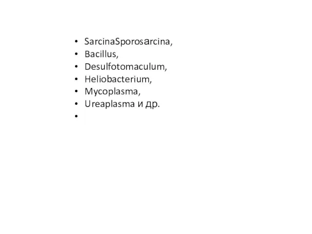 SarcinaSporosаrcina, Bacillus, Desulfotomaculum, Heliobacterium, Mycoplasma, Ureaplasma и др.