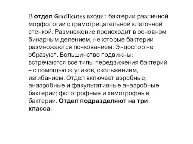 В отдел Gracilicutes входят бактерии различной морфологии с грамотрицательной клеточной стенкой.