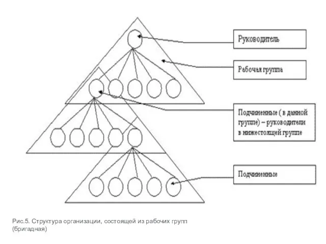 Рис.5. Структура организации, состоящей из рабочих групп (бригадная)