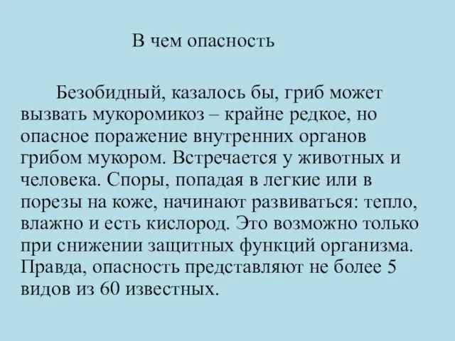 В чем опасность Безобидный, казалось бы, гриб может вызвать мукоромикоз –