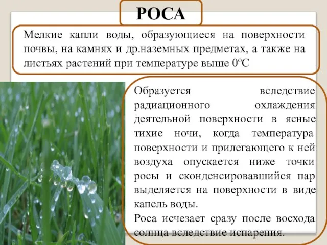 Мелкие капли воды, образующиеся на поверхности почвы, на камнях и др.наземных