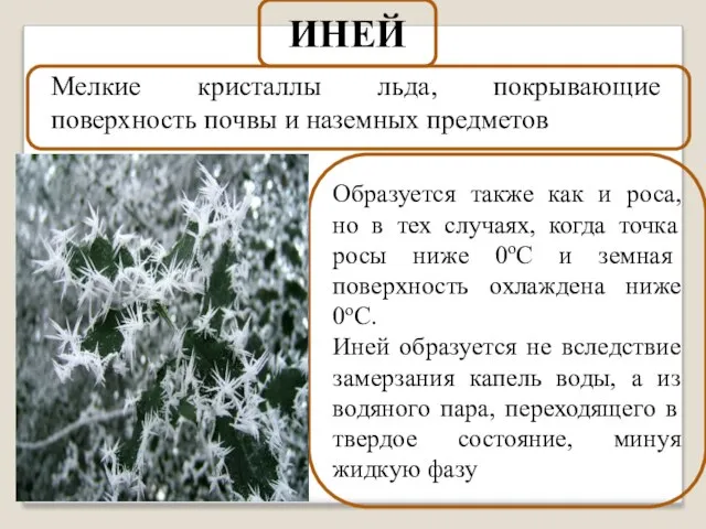 Мелкие кристаллы льда, покрывающие поверхность почвы и наземных предметов ИНЕЙ Образуется