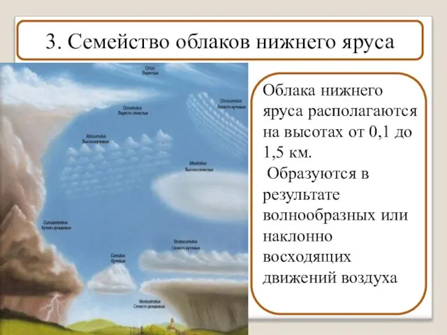 3. Семейство облаков нижнего яруса Облака нижнего яруса располагаются на высотах