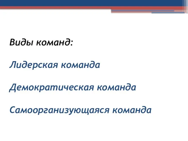 Виды команд: Лидерская команда Демократическая команда Самоорганизующаяся команда