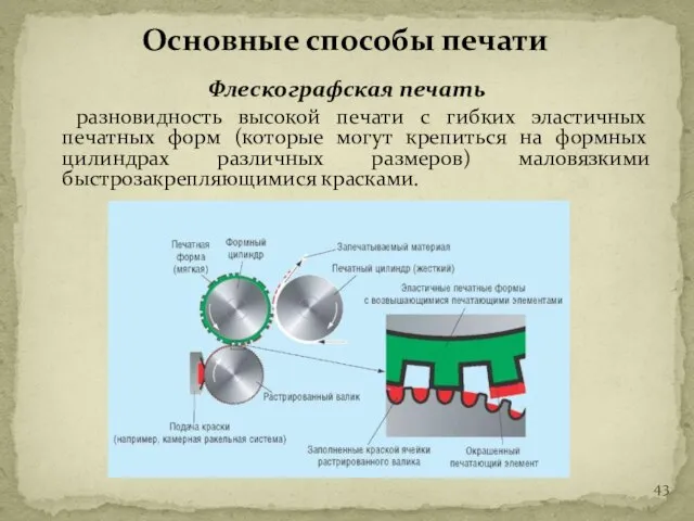 Флескографская печать разновидность высокой печати с гибких эластичных печатных форм (которые