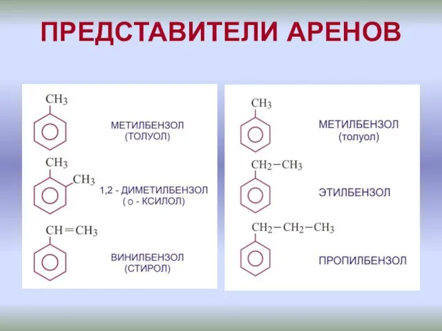 ПРЕДСТАВИТЕЛИ АРЕНОВ