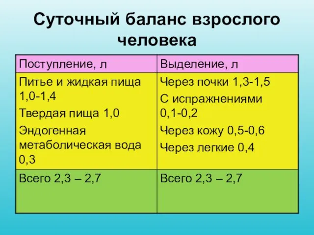 Суточный баланс взрослого человека