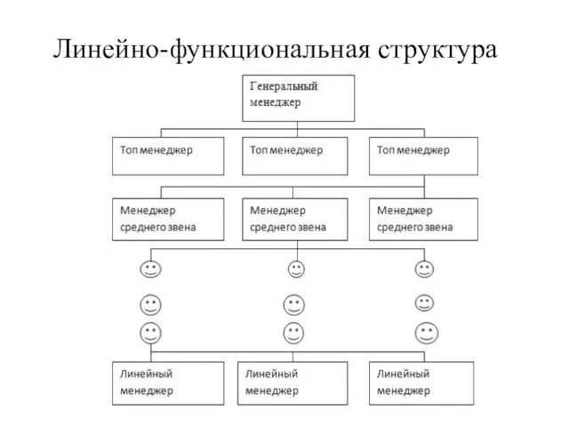 Линейно-функциональная структура