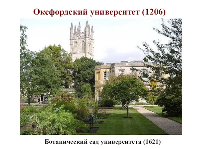 Оксфордский университет (1206) Ботанический сад университета (1621)