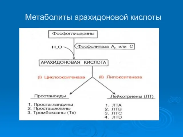 Метаболиты арахидоновой кислоты