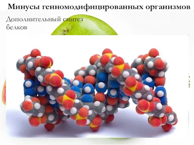 Минусы генномодифицированных организмов Дополнительный синтез белков