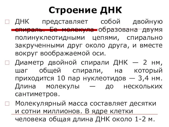 Строение ДНК ДНК представляет собой двойную спираль. Ее молекула образована двумя