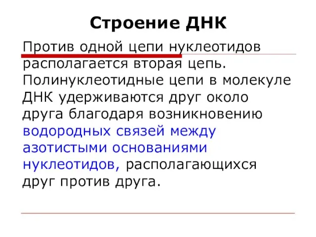 Строение ДНК Против одной цепи нуклеотидов располагается вторая цепь. Полинуклеотидные цепи