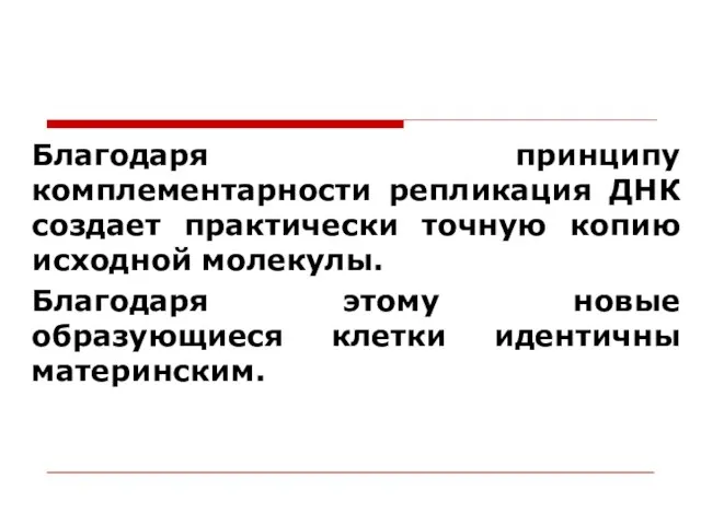 Благодаря принципу комплементарности репликация ДНК создает практически точную копию исходной молекулы.