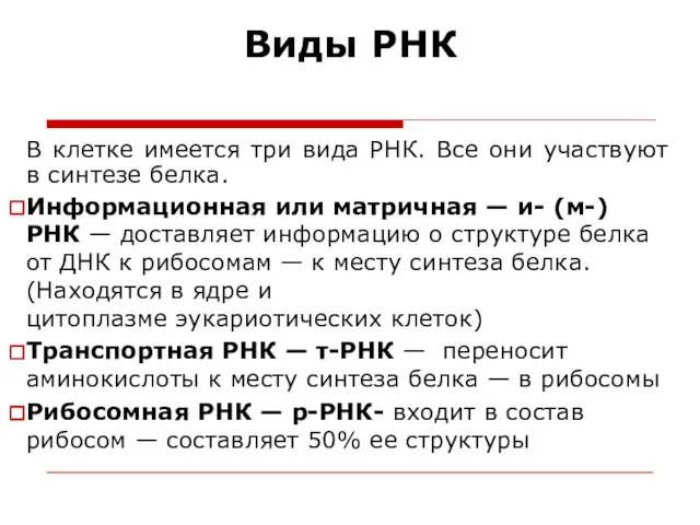 Виды РНК В клетке имеется три вида РНК. Все они участвуют