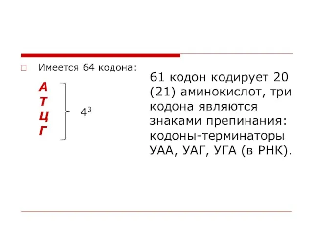 Имеется 64 кодона: 61 кодон кодирует 20 (21) аминокислот, три кодона