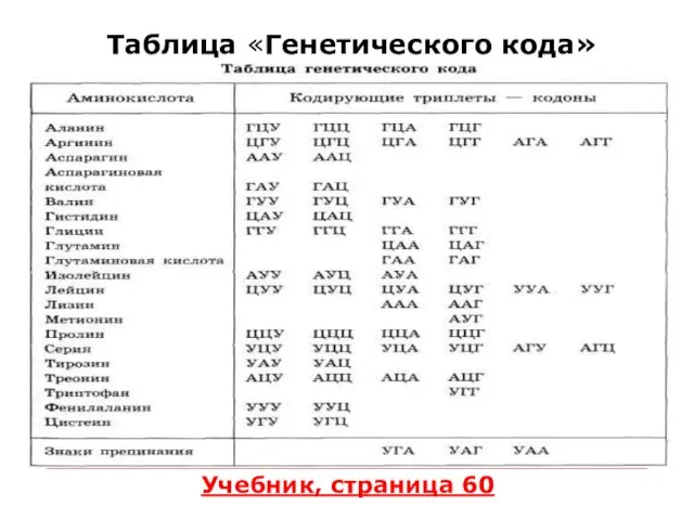 Таблица «Генетического кода» Учебник, страница 60