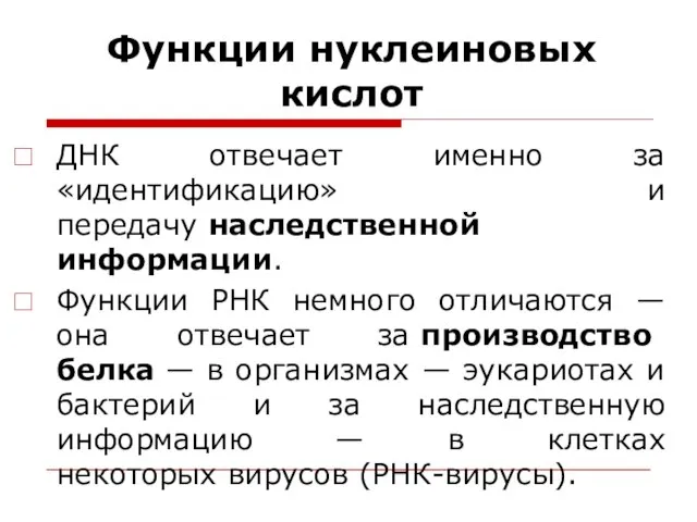 Функции нуклеиновых кислот ДНК отвечает именно за «идентификацию» и передачу наследственной