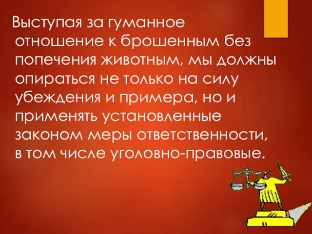 Выступая за гуманное отношение к брошенным без попечения животным, мы должны