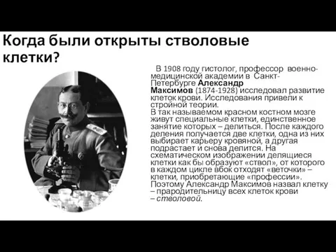 Когда были открыты стволовые клетки? В 1908 году гистолог, профессор военно-медицинской