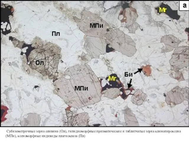 Субизометричные зерна оливина (Ол), гипидиоморфные призматические и таблитчатые зерна клинопироксена (МПи), ксеноморфные индивиды плагиоклаза (Пл)