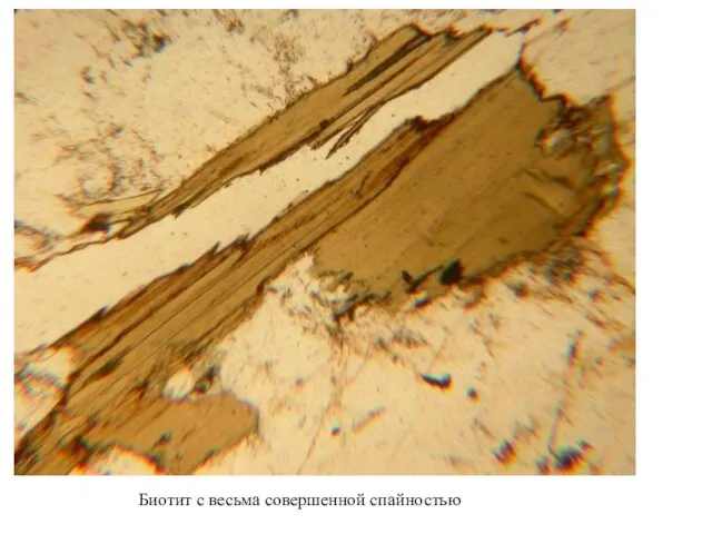 Биотит с весьма совершенной спайностью