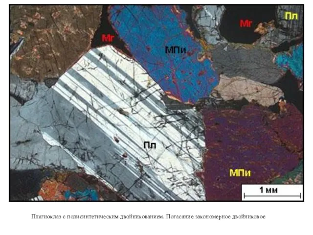 Плагиоклаз с полисинтетическим двойникованием. Погасание закономерное двойниковое