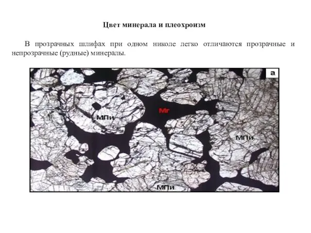 Цвет минерала и плеохроизм В прозрачных шлифах при одном николе легко