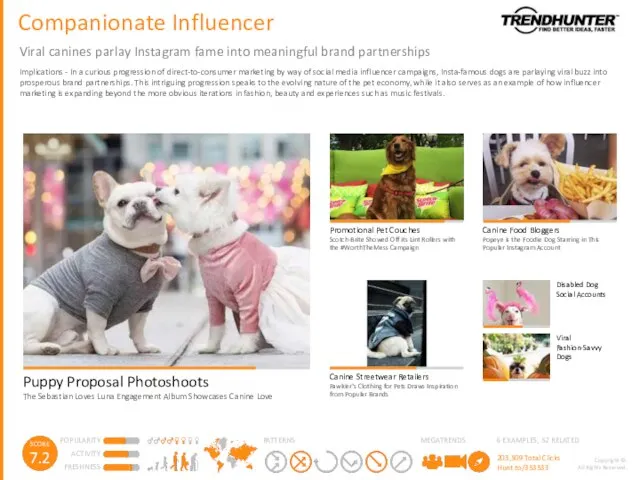 Companionate Influencer Viral canines parlay Instagram fame into meaningful brand partnerships