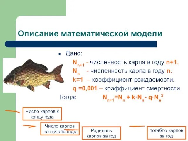 Описание математической модели Дано: Nn+1 - численность карпа в году n+1.