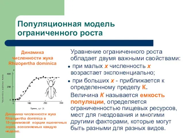 Популяционная модель ограниченного роста Уравнение ограниченного роста обладает двумя важными свойствами: