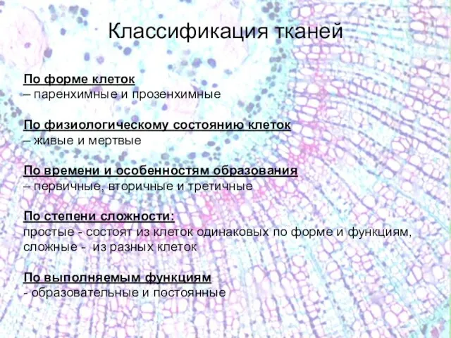 Классификация тканей По форме клеток – паренхимные и прозенхимные По физиологическому