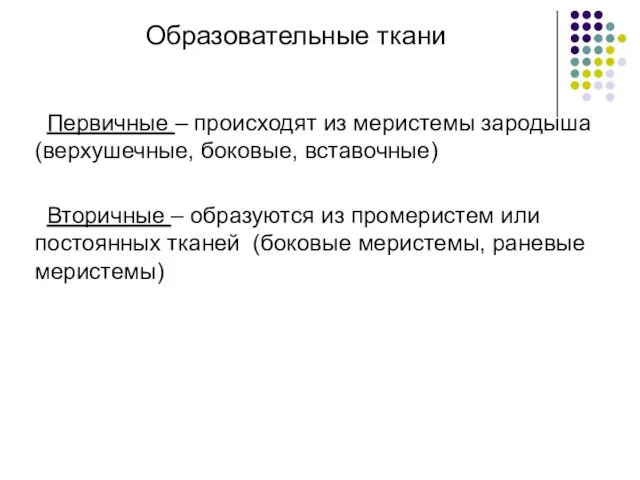 Образовательные ткани Первичные – происходят из меристемы зародыша (верхушечные, боковые, вставочные)