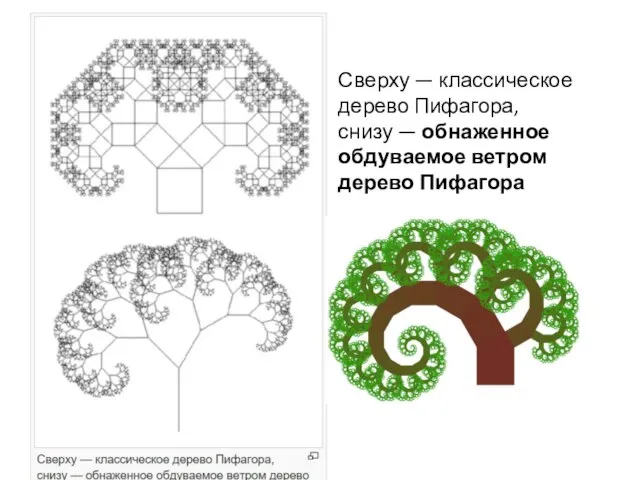 Сверху — классическое дерево Пифагора, снизу — обнаженное обдуваемое ветром дерево Пифагора