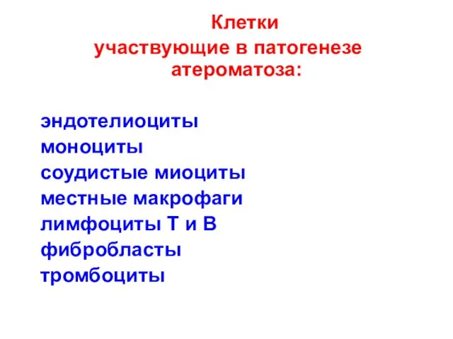 Клетки участвующие в патогенезе атероматоза: эндотелиоциты моноциты соудистые миоциты местные макрофаги